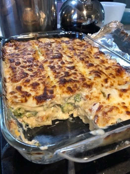 Chicken and Broccoli Lasagna